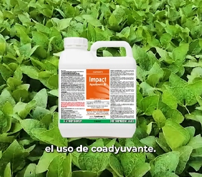 Recorrida técnica en Junín, Buenos Aires