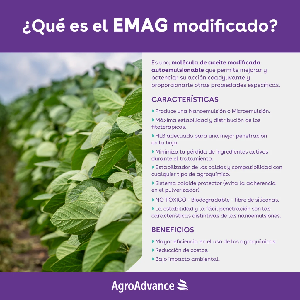 EMAG Modificado