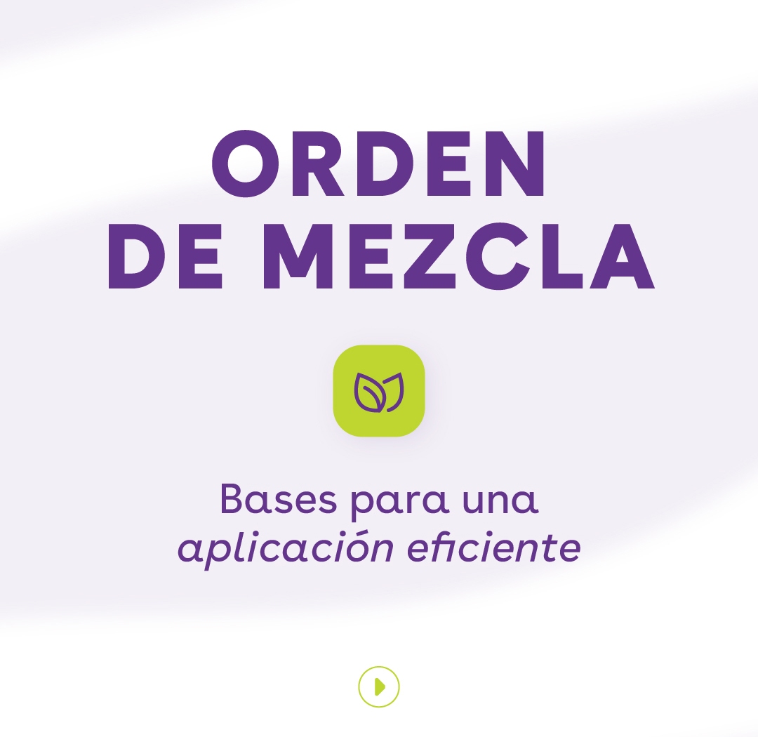 Orden de Mezcla