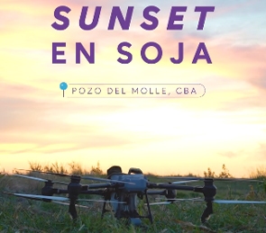 Sunset en Soja | Pozo del Molle, Córdoba